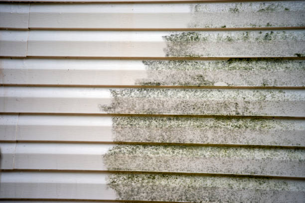 Best Construction Debris Removal  in Port Allegany, PA